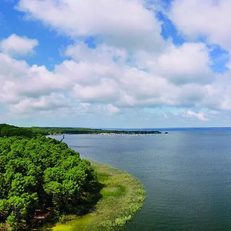 Les Sentes * Carcans