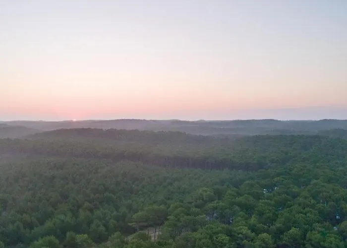 Les Sentes * Carcans